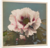 Tree Paeony, 1896 by Kazumasa Ogawa