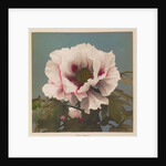 Tree Paeony, 1896 by Kazumasa Ogawa
