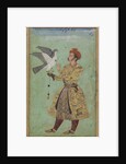 Prince With a Falcon, c.1600-5 by Mughal School