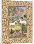 Birth of the Celestial Twins, c.1585-90 by Mughal School