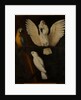 Parrots, c.1670 by Dutch School