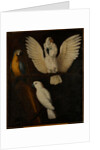 Parrots, c.1670 by Dutch School