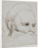The head of a crossbowman taking aim, 1514-5 by Hans Holbein the Elder