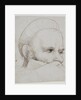 The head of a crossbowman taking aim, 1514-5 by Hans Holbein the Elder