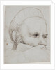 The head of a crossbowman taking aim, 1514-5 by Hans Holbein the Elder