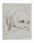 The head of a crossbowman taking aim, 1514-5 by Hans Holbein the Elder