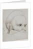 The head of a crossbowman taking aim, 1514-5 by Hans Holbein the Elder
