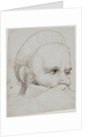 The head of a crossbowman taking aim, 1514-5 by Hans Holbein the Elder