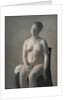 Nude female model, 1889 by Vilhelm Hammershoi