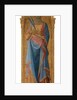 St. Corona, c.1350 155 x 48 by Master of the Palazzo Venezia Madonna