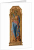St. Corona, c.1350 155 x 48 by Master of the Palazzo Venezia Madonna