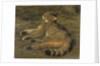 Wild Cat, 1850 by Rosa Bonheur