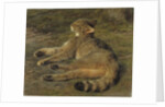 Wild Cat, 1850 by Rosa Bonheur