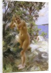 After the Bath, 1895 by Anders Leonard Zorn
