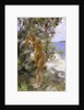 After the Bath, 1895 by Anders Leonard Zorn