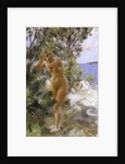 After the Bath, 1895 by Anders Leonard Zorn