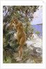 After the Bath, 1895 by Anders Leonard Zorn