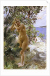 After the Bath, 1895 by Anders Leonard Zorn