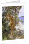 After the Bath, 1895 by Anders Leonard Zorn