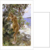 After the Bath, 1895 by Anders Leonard Zorn