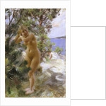 After the Bath, 1895 by Anders Leonard Zorn