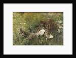 A Fox Family, 1886 by Bruno Andreas Liljefors
