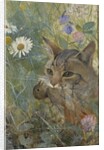 A Cat with a Young bird in its Mouth, 1885 by Bruno Andreas Liljefors
