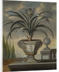 Pineapple plant, 1729 by David von Coln