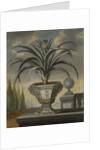 Pineapple plant, 1729 by David von Coln