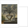 Pineapple plant, 1729 by David von Coln