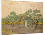The Olive Pickers, Saint-Remy, 1889 by Vincent van Gogh