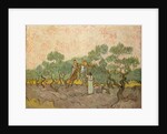 The Olive Pickers, Saint-Remy, 1889 by Vincent van Gogh