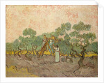 The Olive Pickers, Saint-Remy, 1889 by Vincent van Gogh