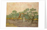 The Olive Pickers, Saint-Remy, 1889 by Vincent van Gogh
