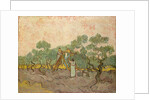 The Olive Pickers, Saint-Remy, 1889 by Vincent van Gogh