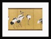 Cranes, An'ei Period, 1772 by Maruyama Okyo