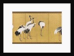 Cranes, An'ei Period, 1772 by Maruyama Okyo