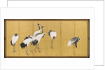 Cranes, An'ei Period, 1772 by Maruyama Okyo