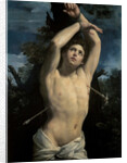 Saint Sebastian, c.1615 by Guido Reni
