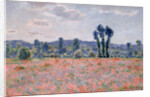 Poppy Field, c.1890 by Claude Monet