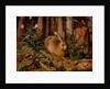 A Hare in the Forest, c. 1585 by Hans Hoffmann