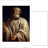 Saint Peter, c. 1611 by Peter Paul Rubens
