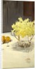 Still Life with Daffodils, 1885-95 by John Singer Sargent