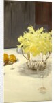 Still Life with Daffodils, 1885-95 by John Singer Sargent