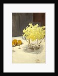 Still Life with Daffodils, 1885-95 by John Singer Sargent