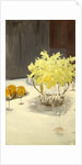 Still Life with Daffodils, 1885-95 by John Singer Sargent