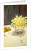 Still Life with Daffodils, 1885-95 by John Singer Sargent