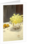 Still Life with Daffodils, 1885-95 by John Singer Sargent