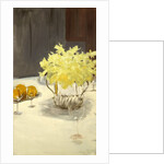 Still Life with Daffodils, 1885-95 by John Singer Sargent