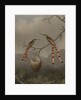 Two Hummingbirds with Their Young, c.1865 by Martin Johnson Heade